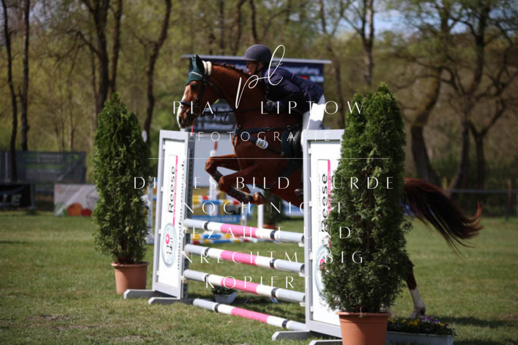 IMGT5306 | pl-fotografie