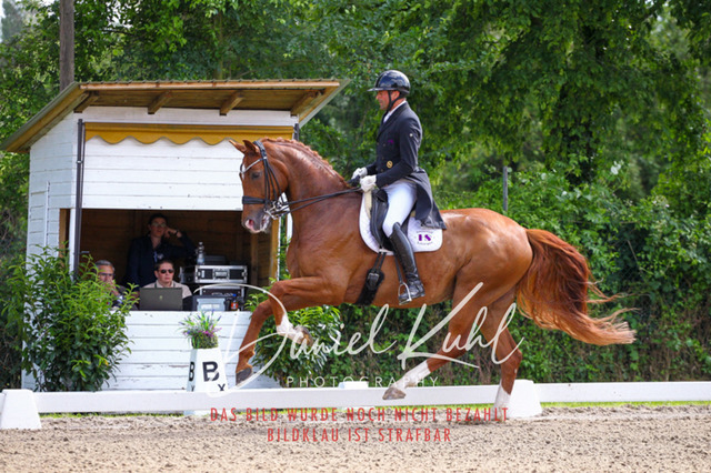 DKP41332 | Turnierfotos kaufen im Webshop von Daniel Kuhl Photography – entdecke professionelle Reitsportfotos aus Turnieren & Events. Hochwertige Turnierbilder online bestellen & sichern. Jetzt Fotos von Reitsportturnieren kaufen!