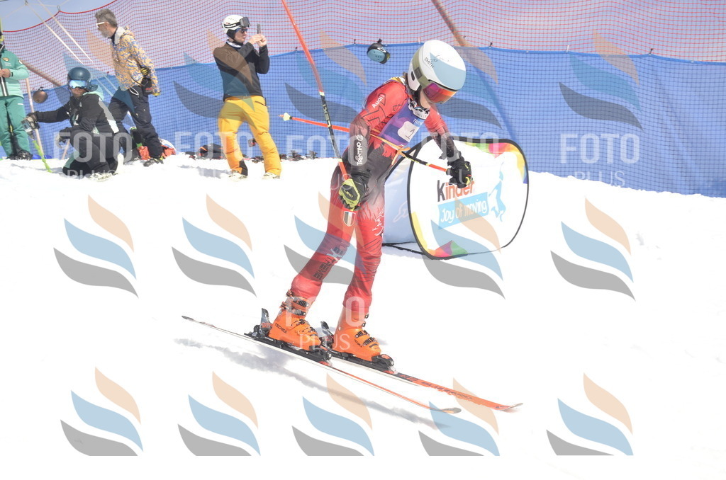 _ELE9414 | holidayphoto