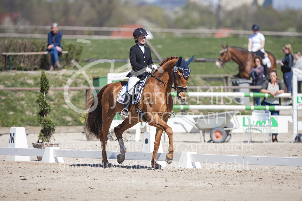 220418_L-Dressur-269 | Frühlingsfest der Pferde
Herford
18.April 2022
Dressurprfg. Kl.L* - Tr. L2ausw. geschlossen
