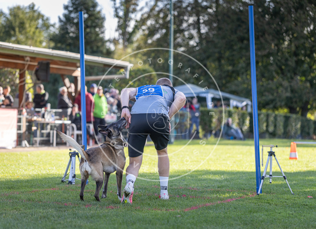 Pfotenfotografie.de_DV3A3199 | Hundefotografie, Tierfotograf, Pfotenfotografie, Fotoshooting Hund, Hunde Portrait, Hundesport, Hundeportraits, Heideshooting, Hunde, Sportfotograf, Hundefotograf, Turnierhundsport, THS, canicross - Realisiert mit Pictrs.com