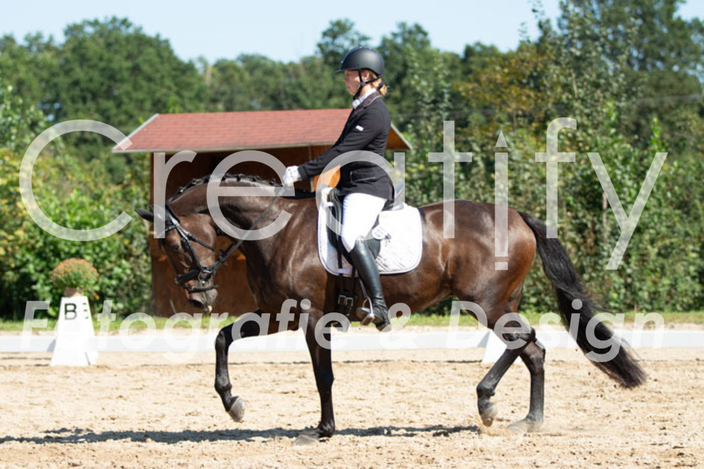 IMG_4468 | Creatify Fotografie