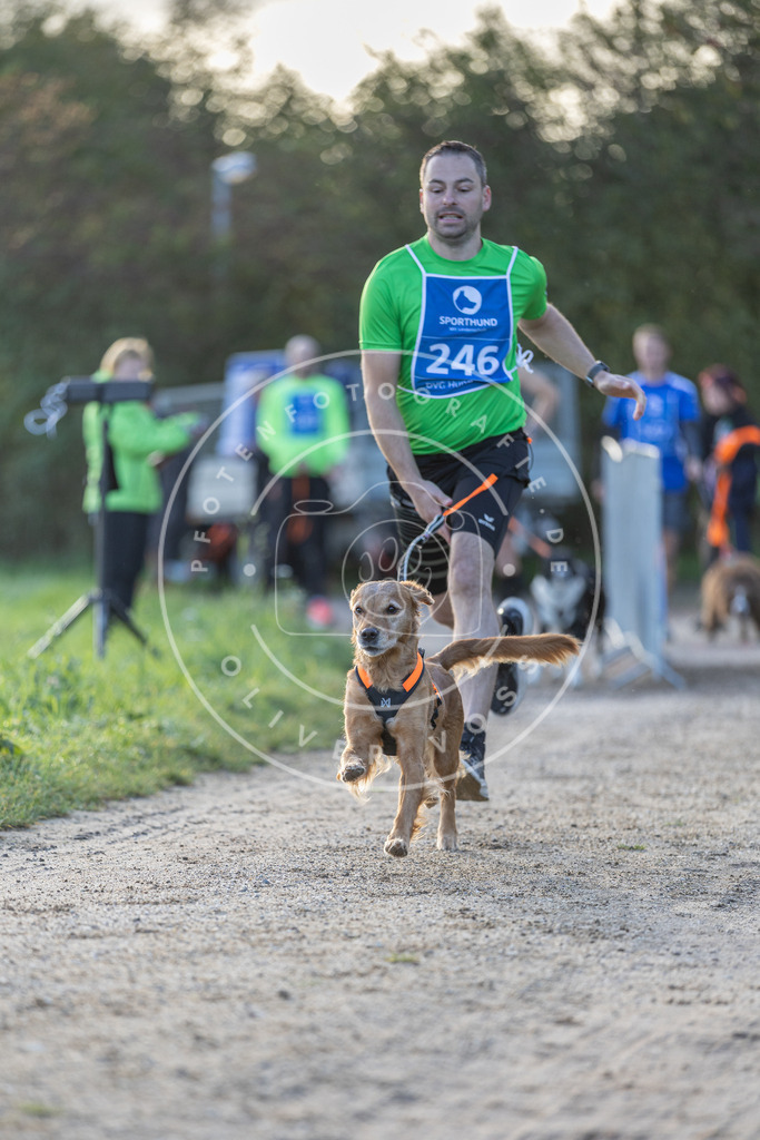Pfotenfotografie.de_DV3A2721 | Hundefotografie, Tierfotograf, Pfotenfotografie, Fotoshooting Hund, Hunde Portrait, Hundesport, Hundeportraits, Heideshooting, Hunde, Sportfotograf, Hundefotograf, Turnierhundsport, THS, canicross - Realisiert mit Pictrs.com