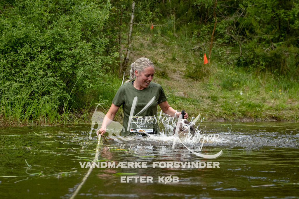 1104DKK994051 | kk-dogfotos