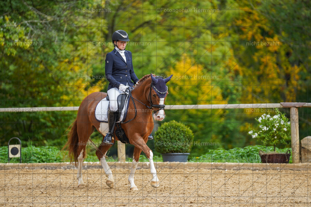20221007-FAH09879 | Diessen am Ammersee, 2022, Dressur- und Springturnier, Reitsportbilder, Turnierfotografen Bayern, Pferdefotografen, Fotoagentur Herrmann, Turnierbilder