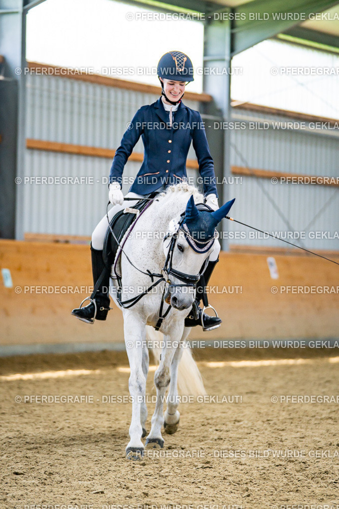 DSC04934 | Pferdegrafie