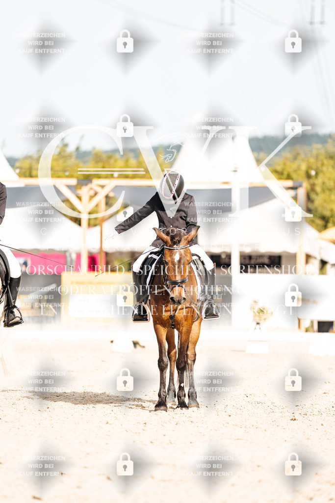 CK904847 | Turnierfotografie Pferdefotografie Trier Rheinland-Pfalz Pferdesport Reitsport Tierfotografie Sportfotografie Pferdevideo Pferdevideografie Equestrianvideography equestrianphotography  - Realisiert mit Pictrs.com