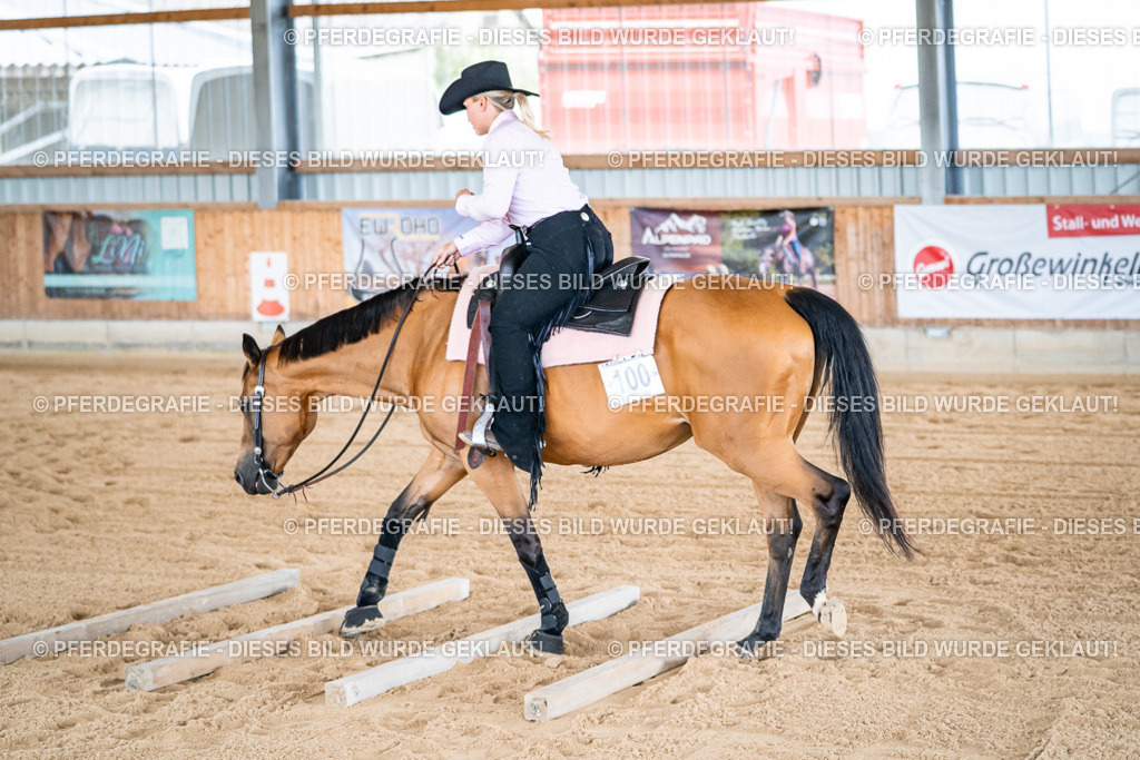 DSC09084 | Pferdegrafie