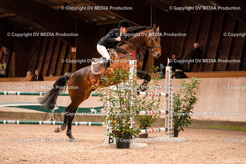 Springen Tag 1-583 | dv-media-shop - Realisiert mit Pictrs.com