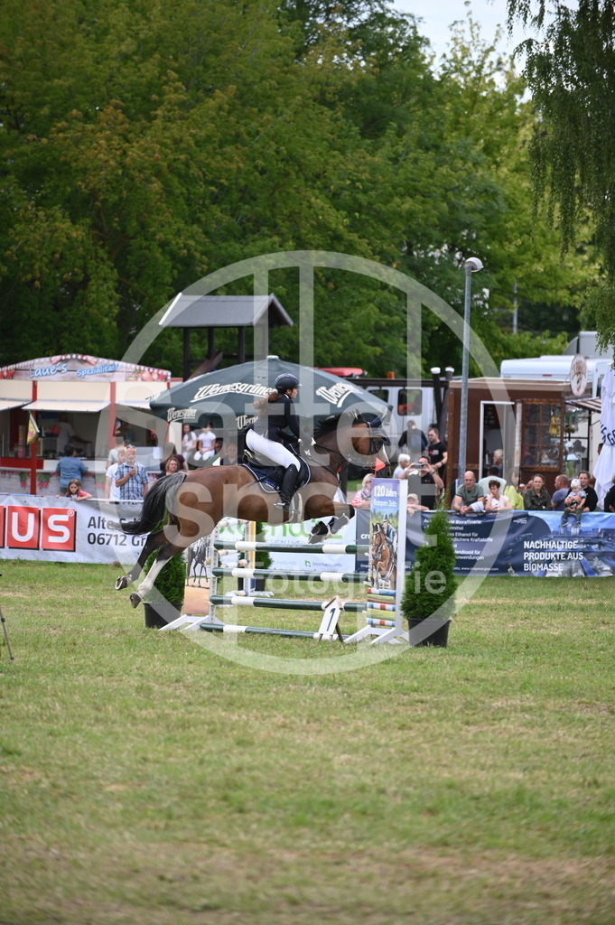 DSC_7241 | sattelsport - Realisiert mit Pictrs.com