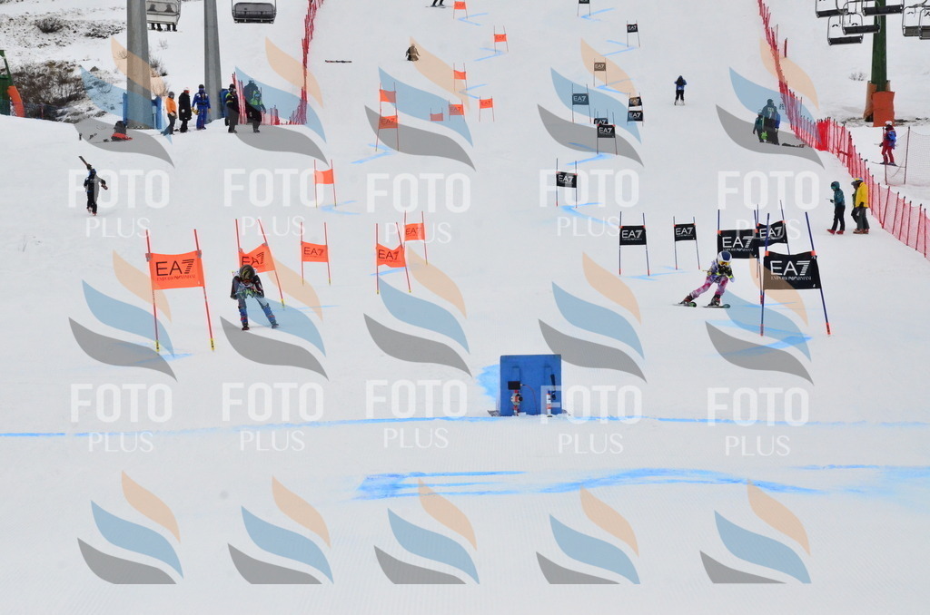 _ELE3732 | holidayphoto