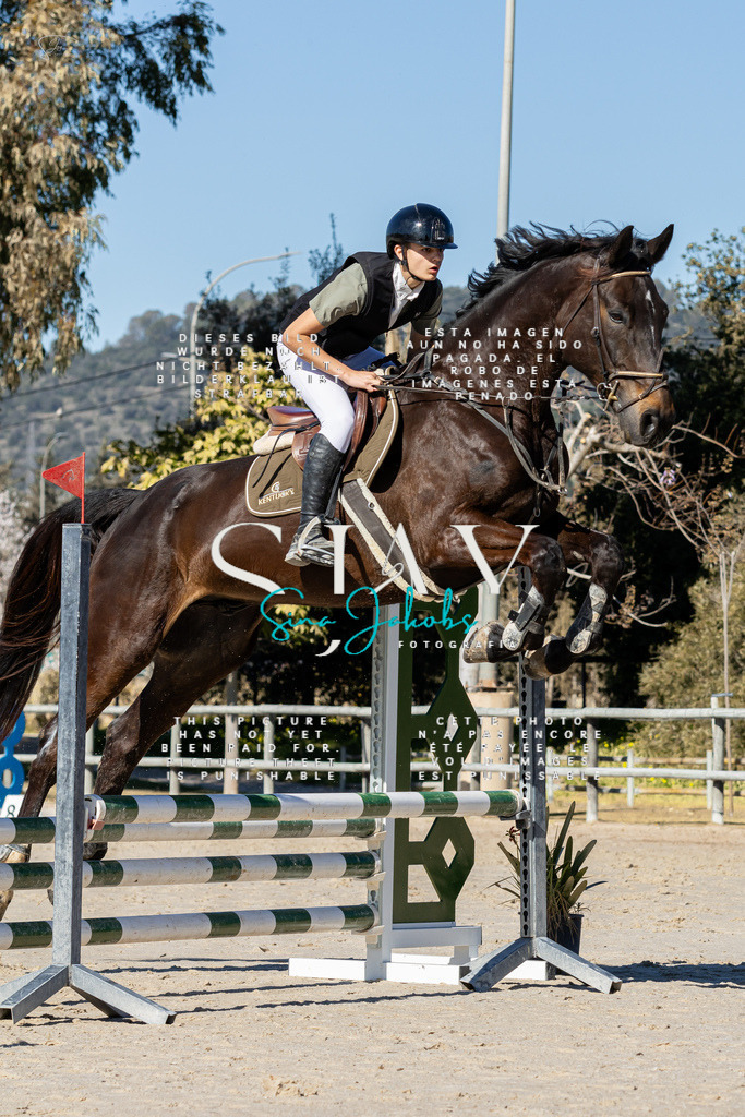 IMG_8963 | s-jay-photography - Realisiert mit Pictrs.com