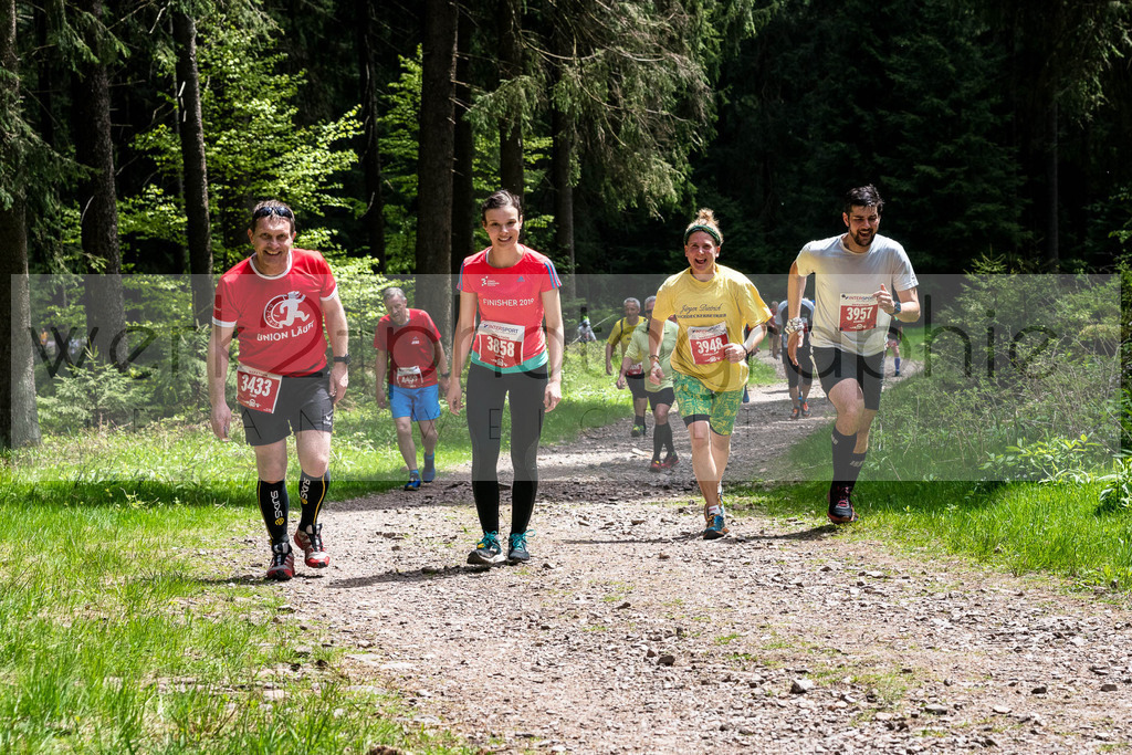 Rennsteiglauf 2019 | Marathon Neuhaus/Rwg. - Schmiedefeld am 18. Mai 2019