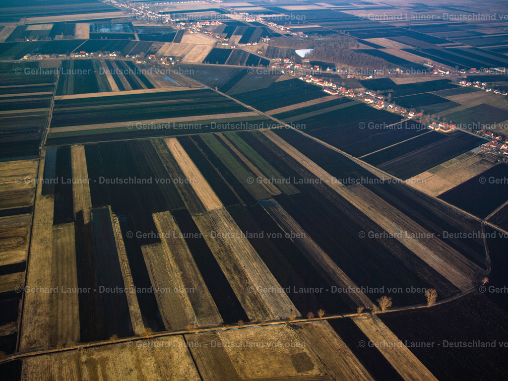 26B0471 | Donaumoos bei Königsmoos