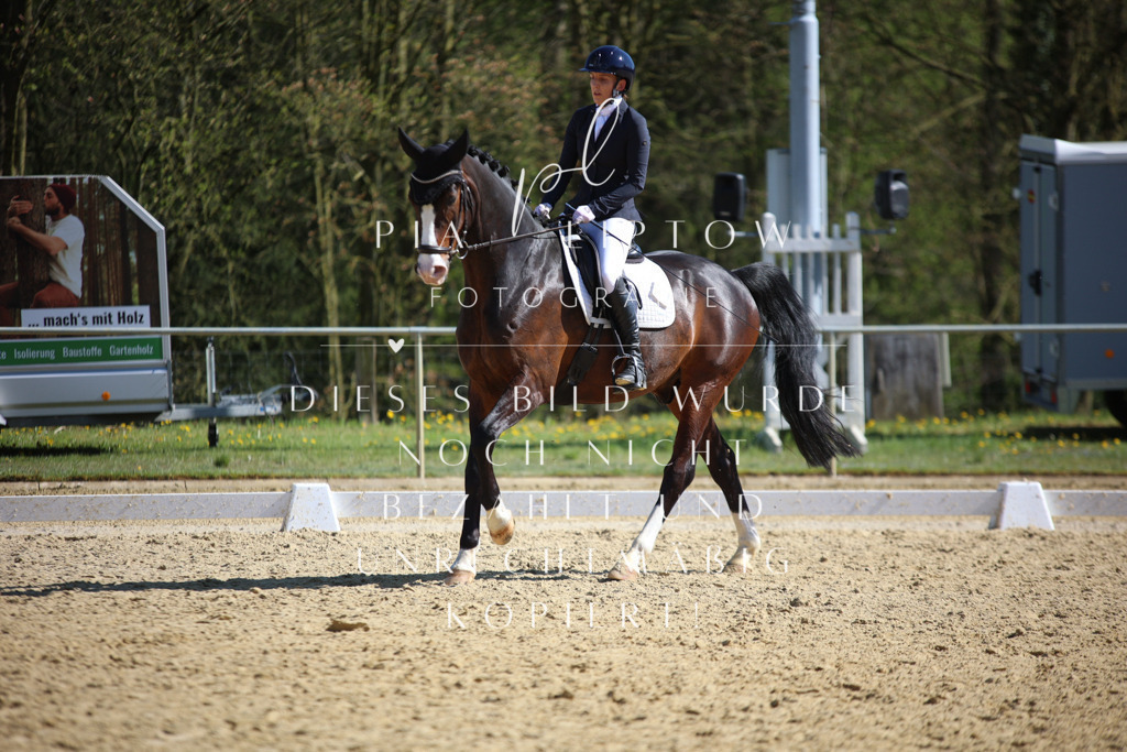 IMGT8446 | pl-fotografie