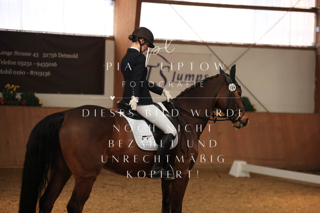 IMGT7565 | pl-fotografie