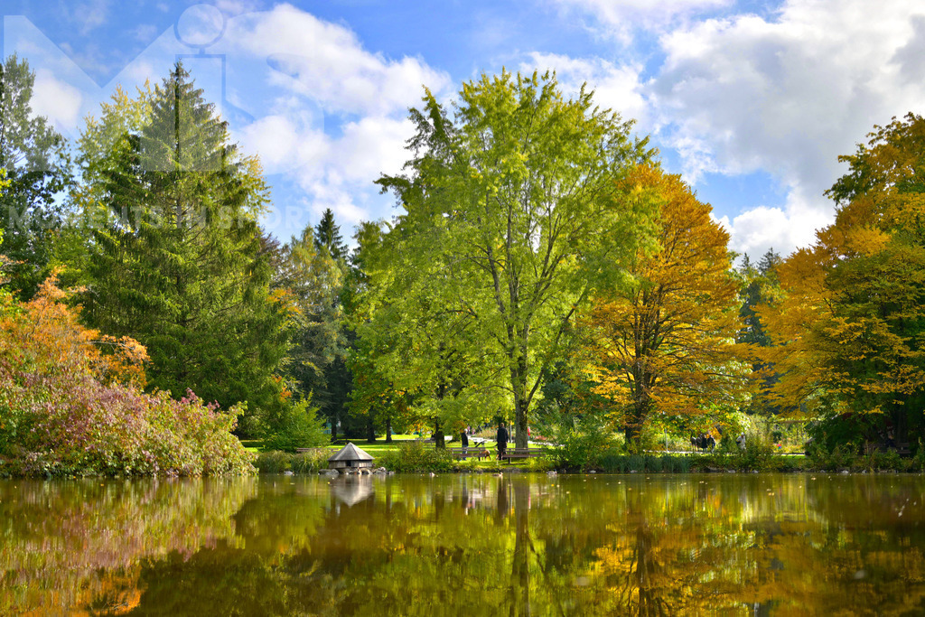 mis310719RF02.JPG | 04.10.2022, Bad Wörishofen im Unterallgäu,  Das Laub der Bäume verfärbt sich bunt im Kurpark.  - Realisiert mit Pictrs.com