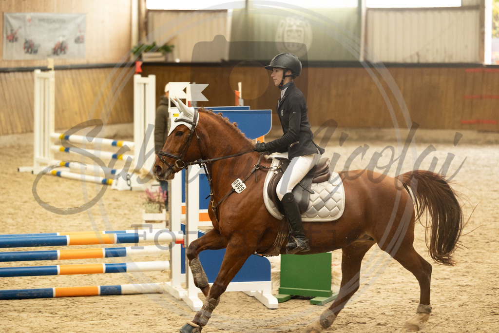 994A5525 | sabrinanicolaifotografie - Realisiert mit Pictrs.com