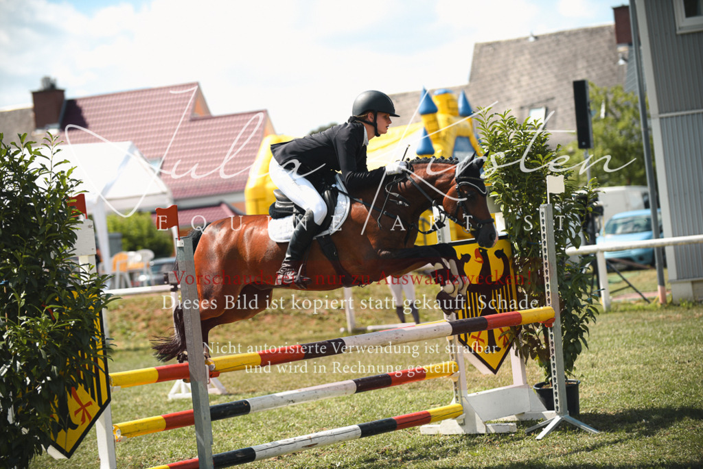 DSC_6794 | Pferde- und Turnierfotografie in Westsachsen. Pferdeportraits, Auftragszeichnungen und intuitive Kunst.