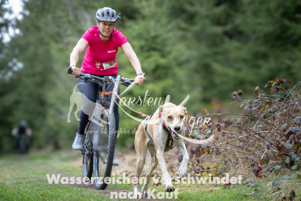 1310_ZZ93816 | kk-dogfotos