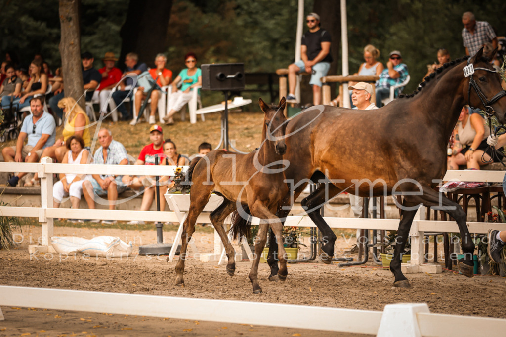 SaPA00322 | Leoni Ertmer Photography - Realisiert mit Pictrs.com