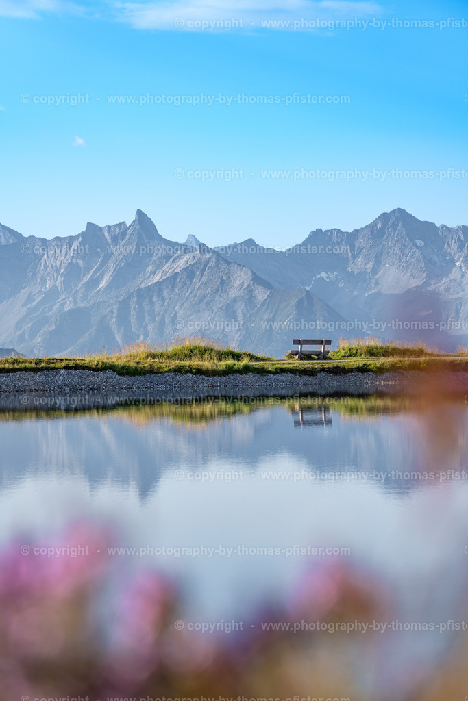 Penken Sommer copyright  Thomas Pfister-7 | PHOTOGRAPHY BY THOMAS PFISTER