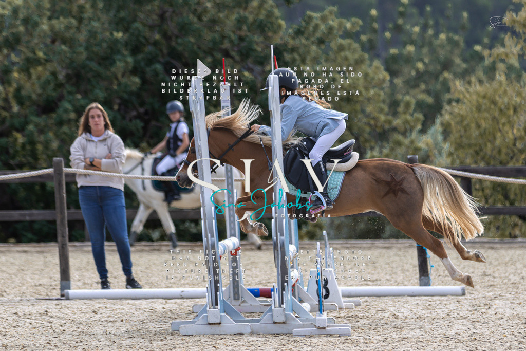 IMG_5289 | s-jay-photography - Realisiert mit Pictrs.com