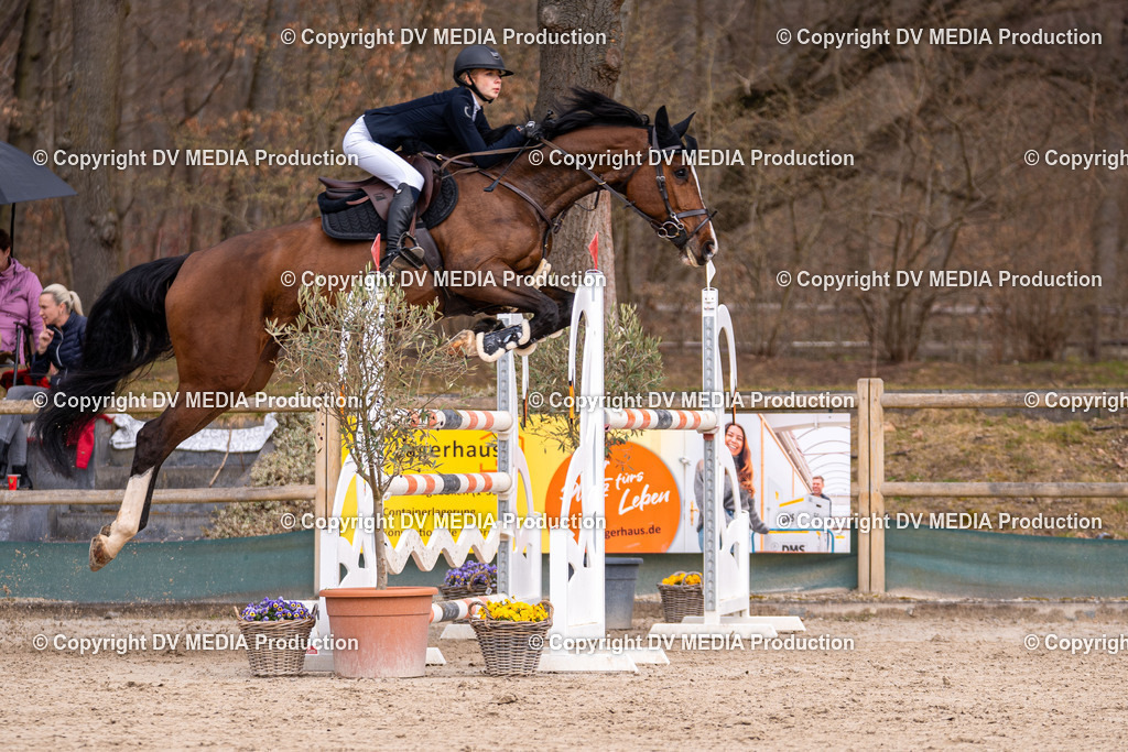 Kranichstein Tag 2-1761 | dv-media-shop - Realisiert mit Pictrs.com