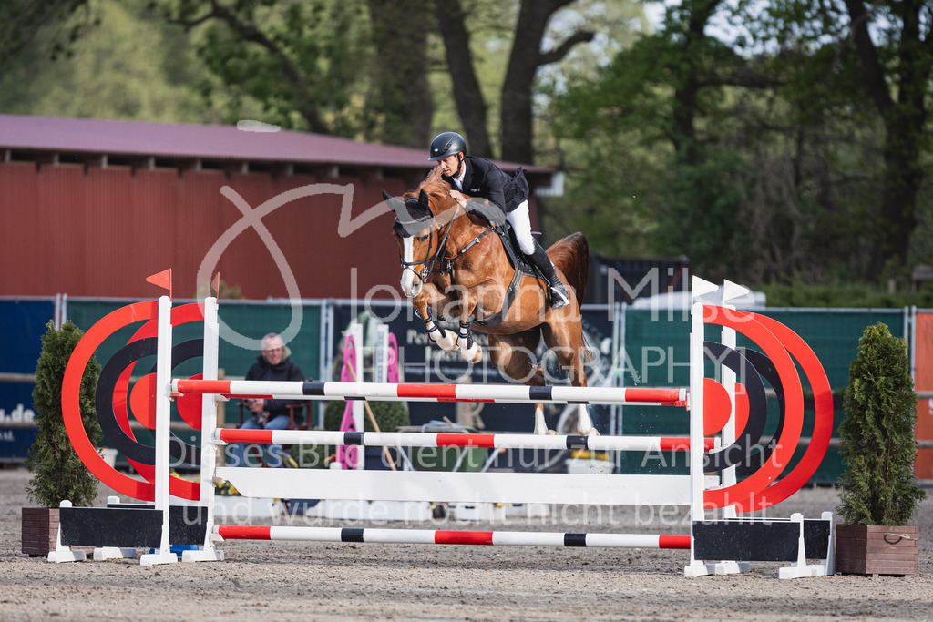250506_Mühlen_Youngster-M-605 | Deine schönsten Turniermomente als professionelle Fotos! Entdecke hochwertige Pferdesport-Fotografie im Online-Shop. Jetzt Fotos finden & bestellen!