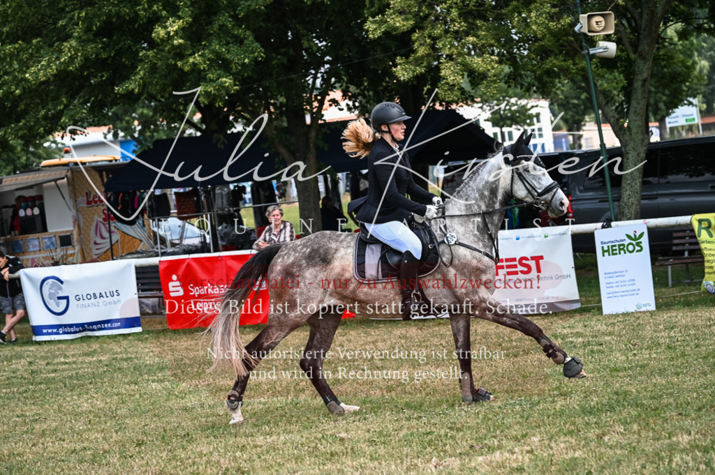 DSC_8364 | Pferde- und Turnierfotografie in Westsachsen. Pferdeportraits, Auftragszeichnungen und intuitive Kunst.
