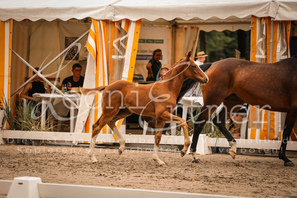 SaPA00274 | Leoni Ertmer Photography - Realisiert mit Pictrs.com