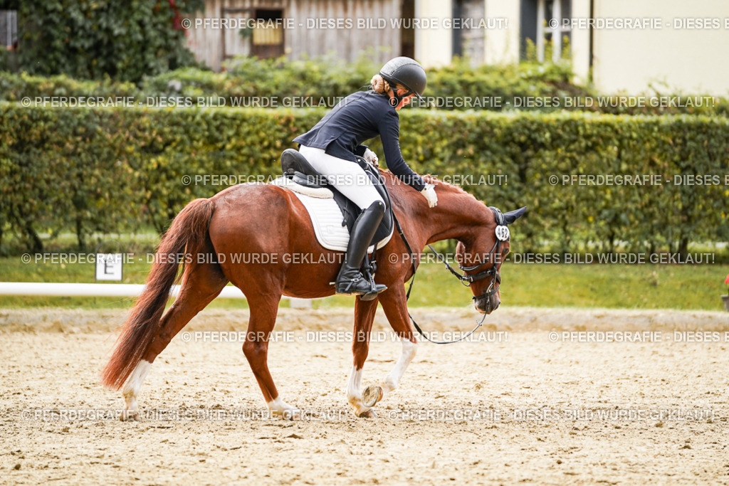 DSC00676 | Pferdegrafie