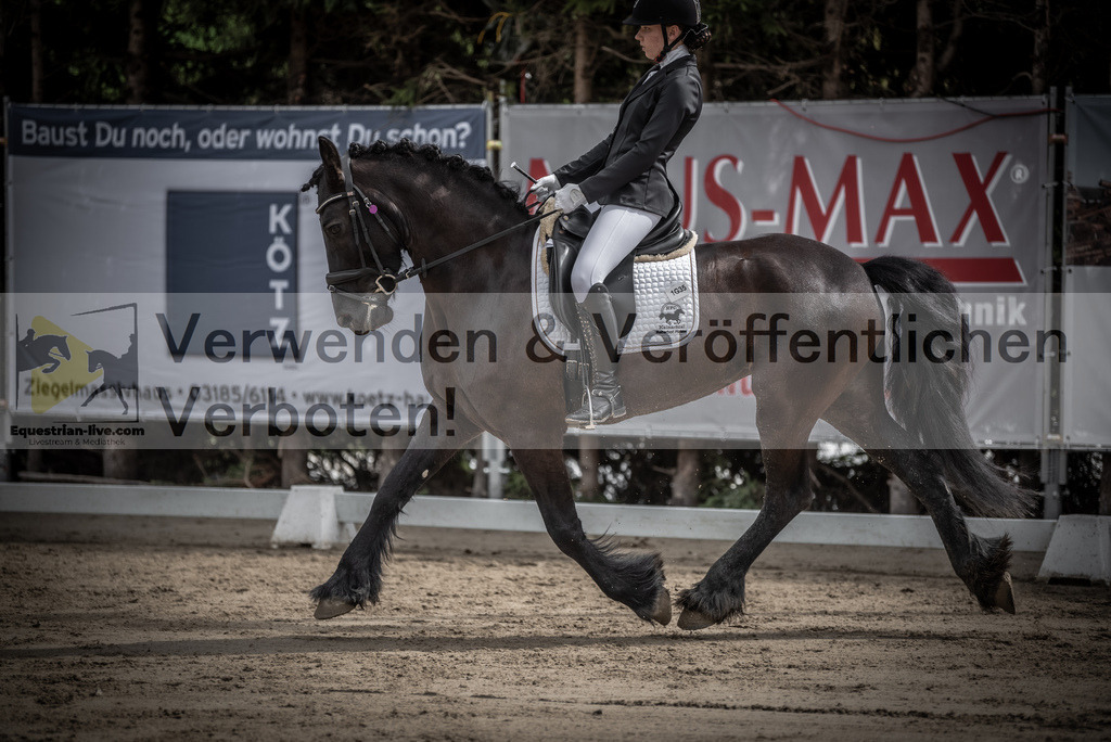 DSC_9184 | equestrian-live-com