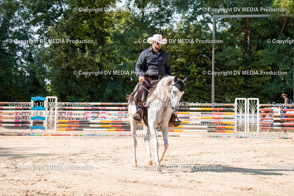 ZH100219 | dv-media-shop - Realisiert mit Pictrs.com