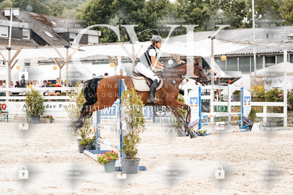CK908541 | Turnierfotografie Pferdefotografie Trier Rheinland-Pfalz Pferdesport Reitsport Tierfotografie Sportfotografie Pferdevideo Pferdevideografie Equestrianvideography equestrianphotography  - Realisiert mit Pictrs.com