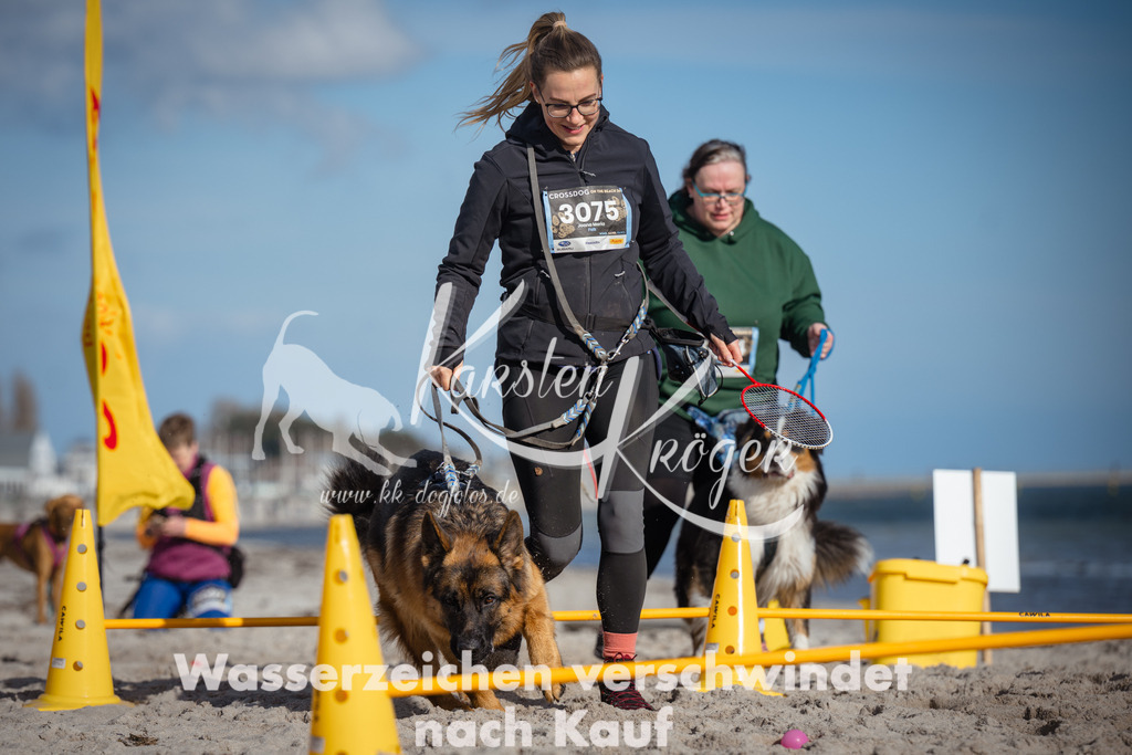 1351_ZZ93978 | kk-dogfotos