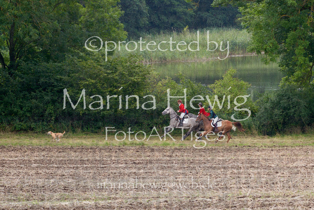 _MCH7892_Marina Hewig | Fotografie, FotoArt, PferdesportArt, Pferdesportfotografie, Landschaftsfotografie, Reisefotografie, Reise, Pferde - Realisiert mit Pictrs.com