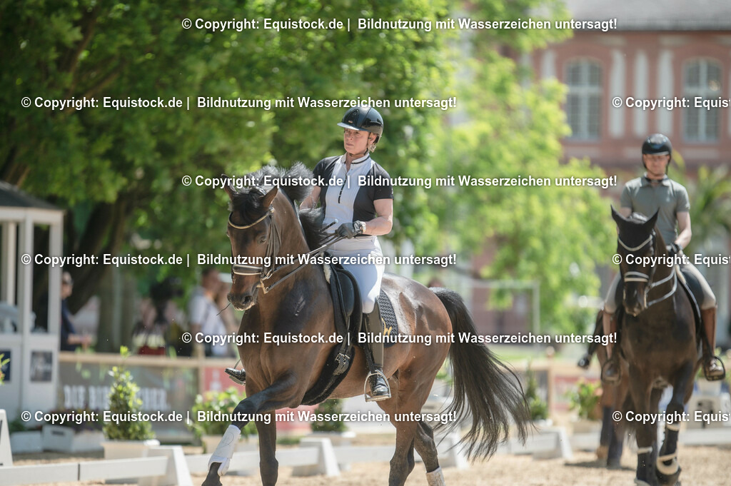 DSC_8047 | equistock