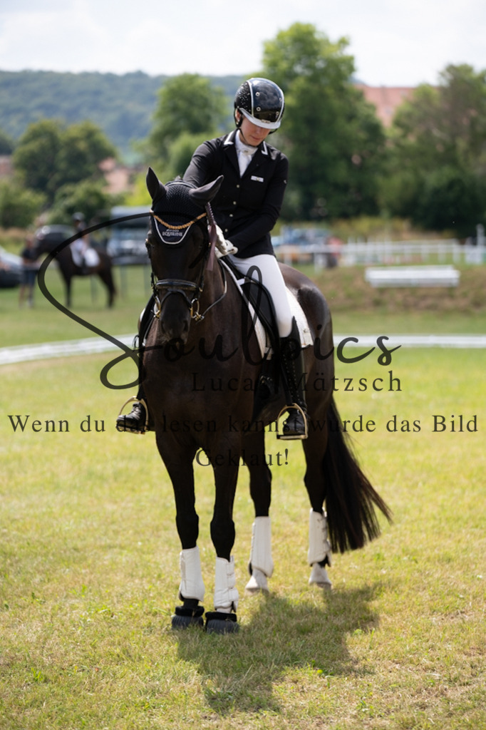 A7V00110 | Pferdefotograf