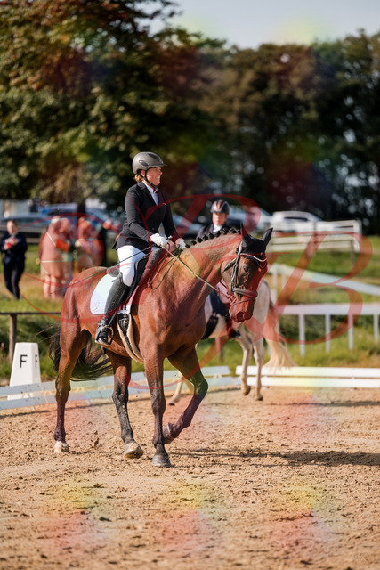 2026_10_03_Siefer-Hof_122910_Z63_50327288 | Professionelle Reitsport-, Turnier- und Eventfotografie von Robert Broda. Galerien mit ausgewählten und bearbeiteten Bildern direkt online ansehen und bestellen.