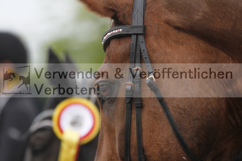 _MG_8359 | equestrian-live-com