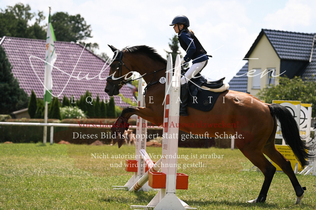 DSC_9310 | Pferde- und Turnierfotografie in Westsachsen. Pferdeportraits, Auftragszeichnungen und intuitive Kunst.