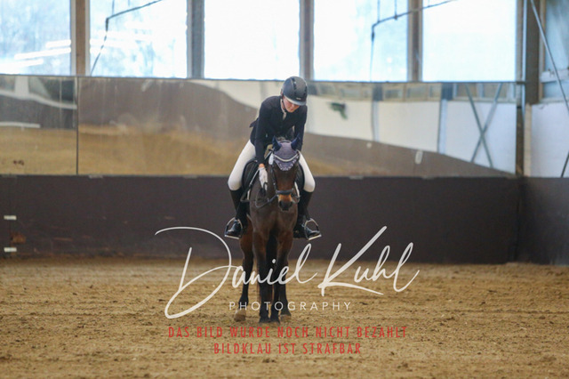 IMG_8217 | Turniersportfotografie; Pferdefotografie; Dressurfotografie