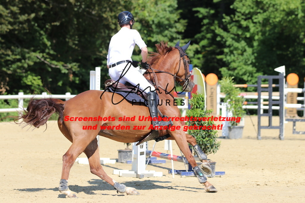 IMG_3099 | lmwpictures - Realisiert mit Pictrs.com