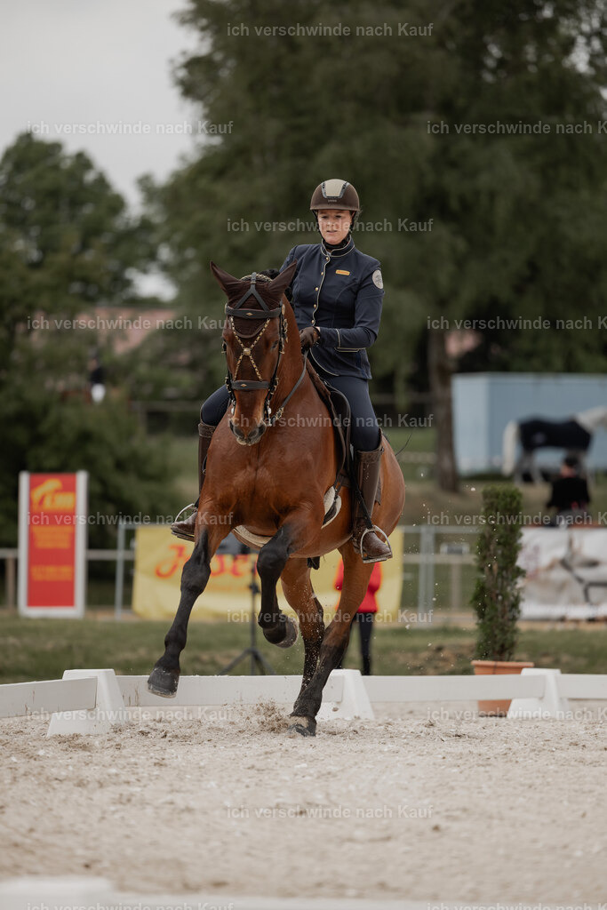 WE_DR_Stoib_340_ _PI2025_114 | Pferd International München 2025