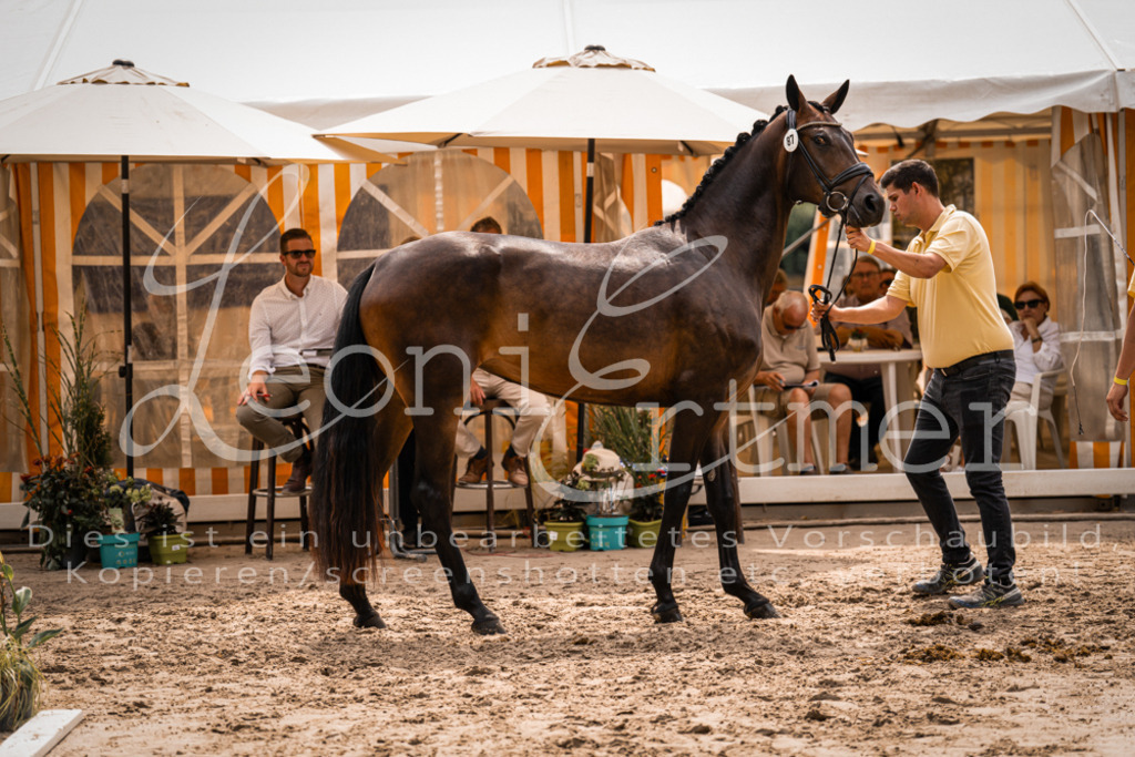 5.Fr00069 | Leoni Ertmer Photography - Realisiert mit Pictrs.com