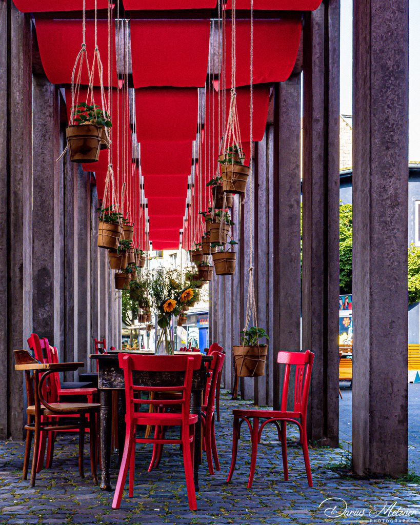 _DSC1703 | Fotografien, Fotos und Bilder aus Mainz, Frankfurt, Wiesbaden und anderen Orten auf der Welt - Fotografiert von Darius Metzner