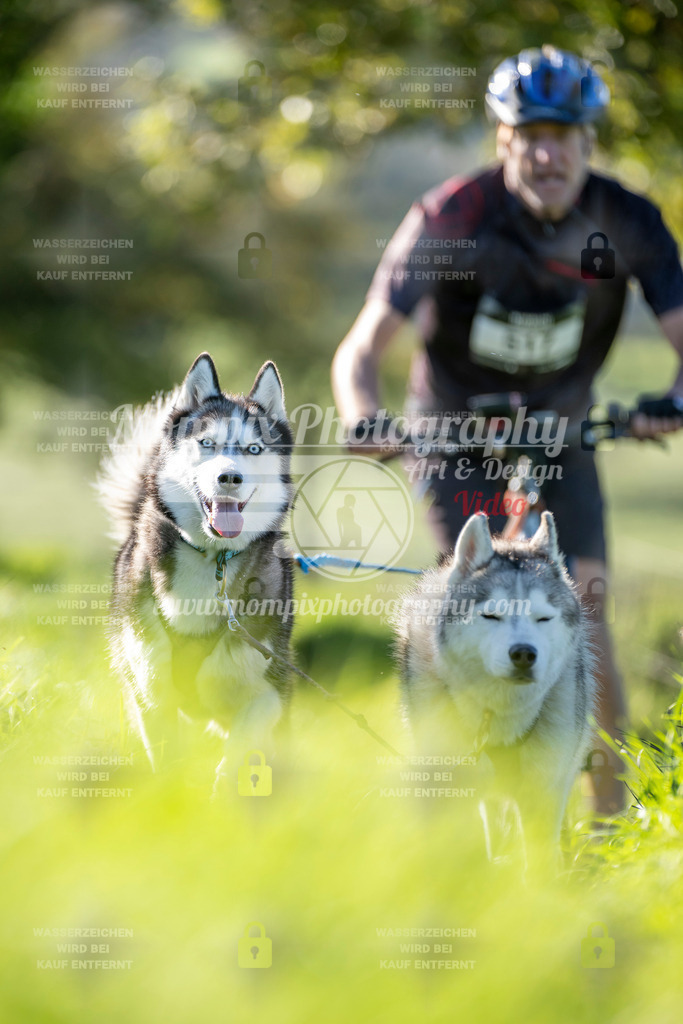 MompixPhotography_20TSB_E3_DS2-53 | PayLife