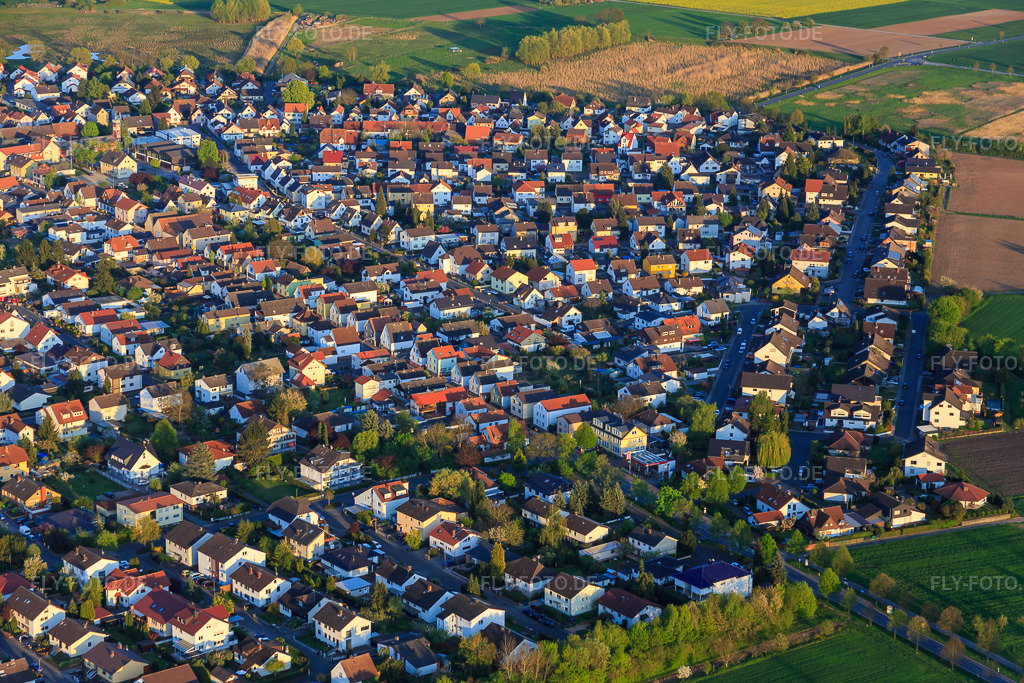 Luftbild: Gernsheimer Straße im Ortsteil Hähnlein in Alsbach-Hähnlein im Bundesland Hessen in Deutschland. Foto: IMG_077759.jpg vom 23.04.2015 durch Werner Riehm/FLY-FOTO.de