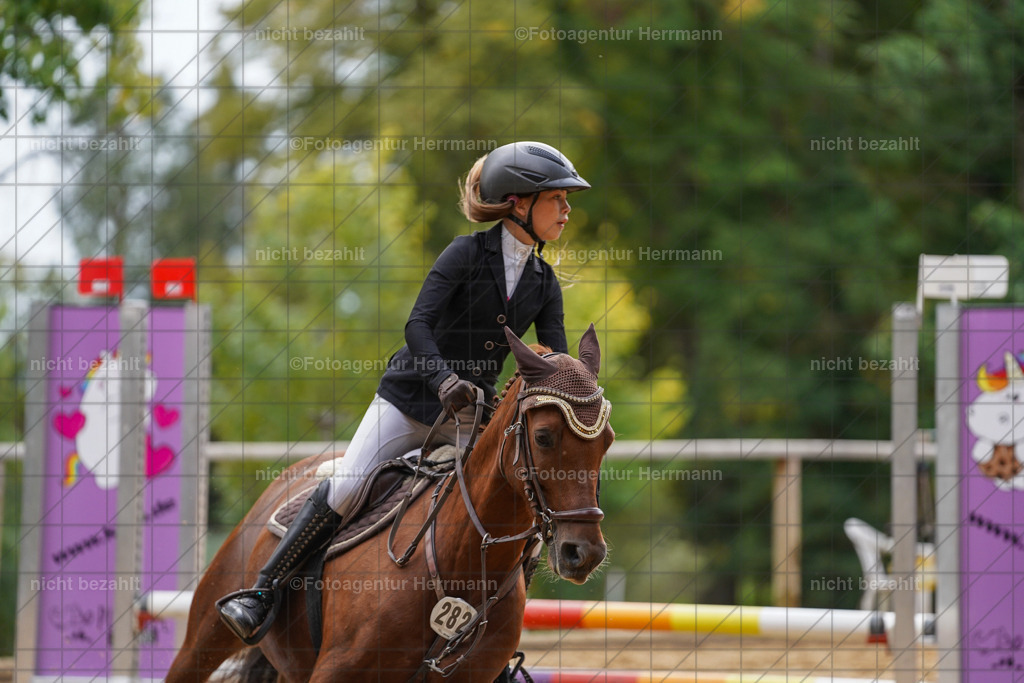 20231008-SN_01081 | Professionelle Turnier- und Reitsportfotografie - mit dem Finger am Auslöser. Pferdebilder aus dem Reitsport von den Turnierfotografen  Bayern , Pferdefotograf Bayern, Pferdeshooting Turnierbilder, Hochzeitsfotograf, Eventfotograf, Hochzeitsbilder